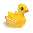 Inflatable Duck